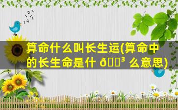 算命什么叫长生运(算命中的长生命是什 🌳 么意思)
